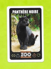A Season at the Zoo Card - Black Panther