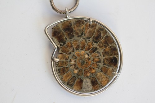 Pendentif ammonite fossile