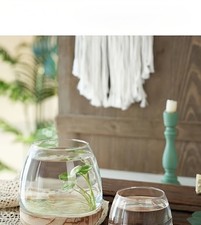 Vase Hydroponique en Verre