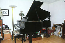 Yamaha C7 Grand Piano
