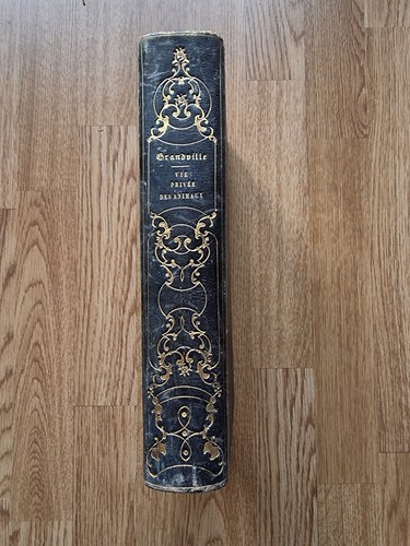 Grandville scènes de - •,