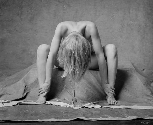 Zia 80486 w artistique - 80486.03, b&w