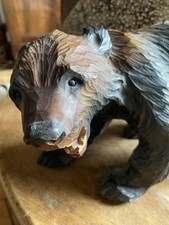 Superbe Ours Forêt noire