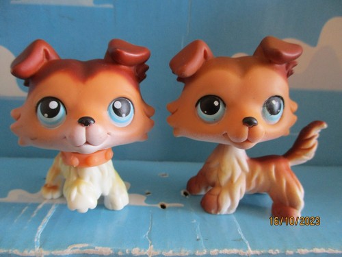Petshop 2 chien - :,