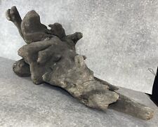 DÉCOR TERRARIUM PALUDARIUM