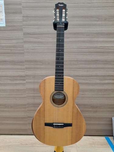 Guitare acoustique électrique