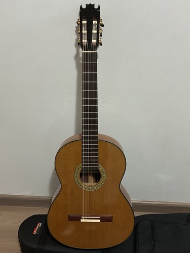 Benito huipe flamenco - flamenco, guitar