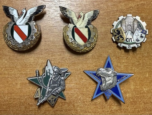 Toutes armes lot insignes - 5,