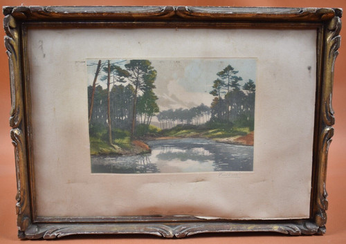 Gravure xxème etang dans - xxème,