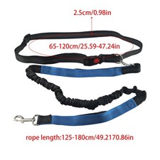 Laisse pour chien réglable à