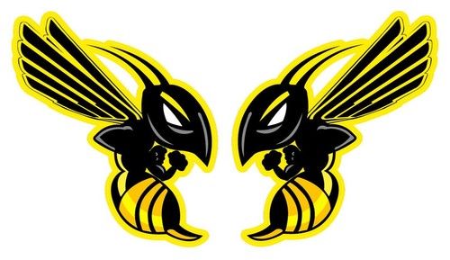 Hornet honda bees - honda, /