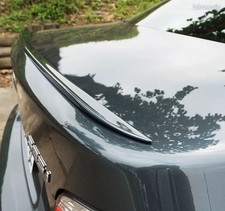 LIP SPOILER ALERON MALETERO