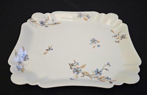 Magnifique plat - plat, en