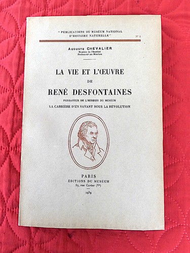 Vie oeuvre rené - vie,