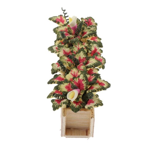Caladium miniature argile - caladium,