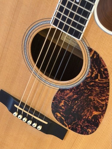 Martin rgte aura - dc-16,