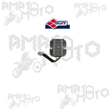 Régulateur de Tension Sgr