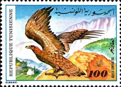 Timbre oiseaux rapaces tunisie - timbre,