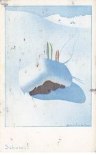 SAMIVEL illustrator shot