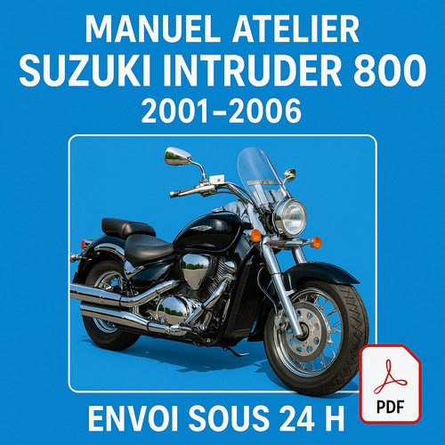 Manuel atelier suzuki - manuel, 800