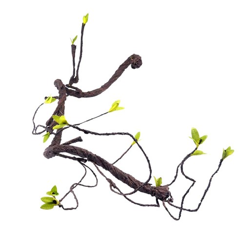 Gecko vines vivarium - gecko,