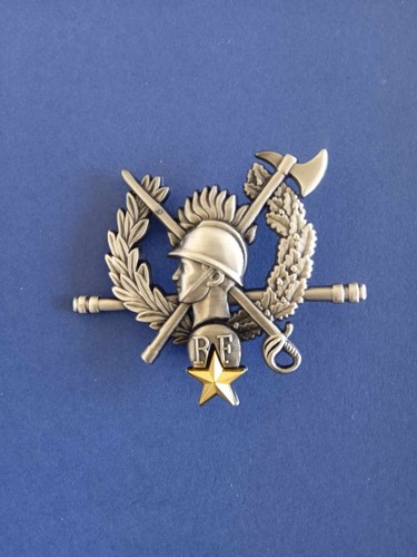 Sapeurs pompiers insigne - /,