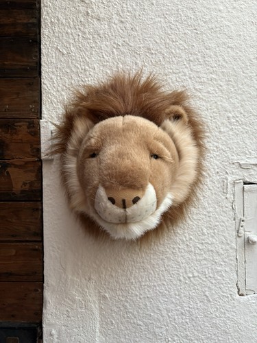 Tête lion peluche à - lion, en