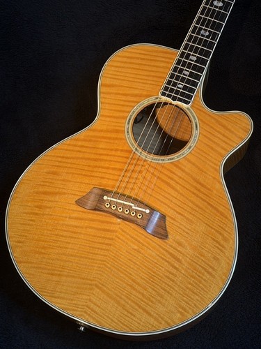 Takamine npt 115 - takamine, (2000)