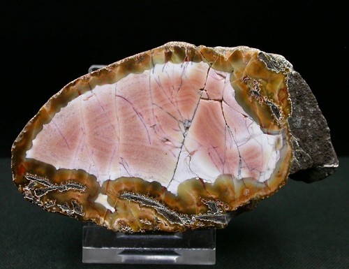 Agate belle couleur - belle,