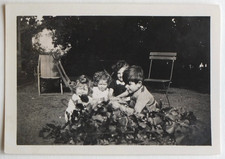Children garden, deckchairs, nature, foliage - old photo snapshot
