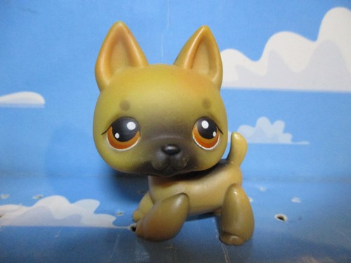 Petshop german shepherd - petshop,