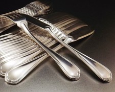 CHRISTOFLE MODEL SPATOURS FISH CUTLERY 24 PIECES SILVER METAL Ca1960