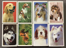 Lot of 8 Matchboxes, Theme: "Dog" (Ba/145)