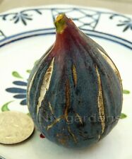 "LEBANESE BLACK/PURPLE" HEIRLOOM FIG TREE (2) Cuttings  - Vigorous & Prolific