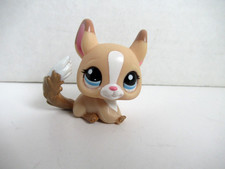 CHINCHILLA #2242 - Tan & White - Blue Eyes - Littlest Pet Shop - Hasbro LPS