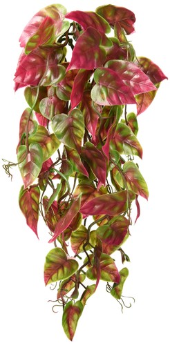 Reptology decorative hanging - reptology,