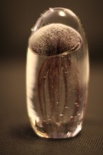 Murano Italian Art Glass Jelly Fish Sculpture or Paperweight -DEEP BROWN COLOR