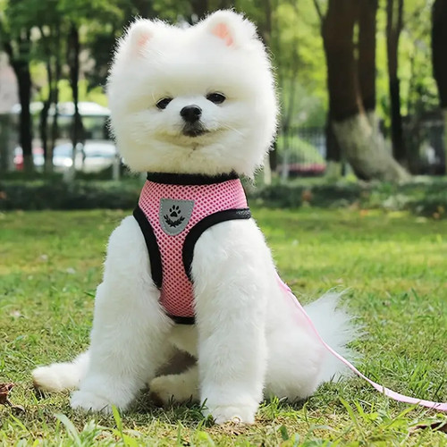 Harnais pour chien chat - ou,