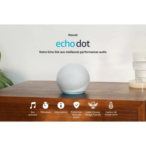 Assistant vocal amazon echo - vocal,
