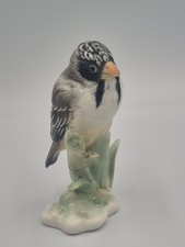 Karl Ens , Serein Sur Un