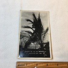 RPPC Postcard Acapulco Mexico Manzanillo Sunset Palm Tree