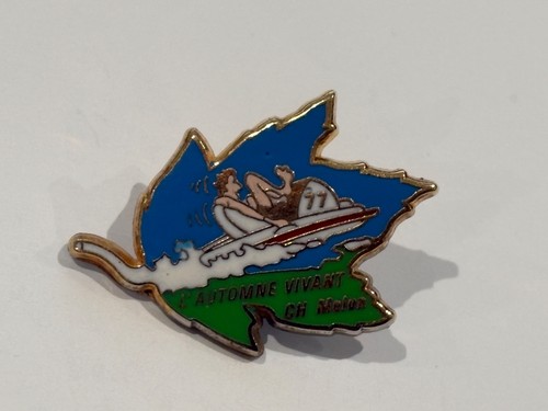 Pins pin pedalo - pin,