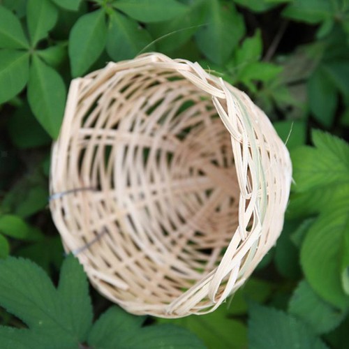 Nid rond canari - rond,