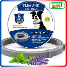 Collier Anti Puces & Tiques