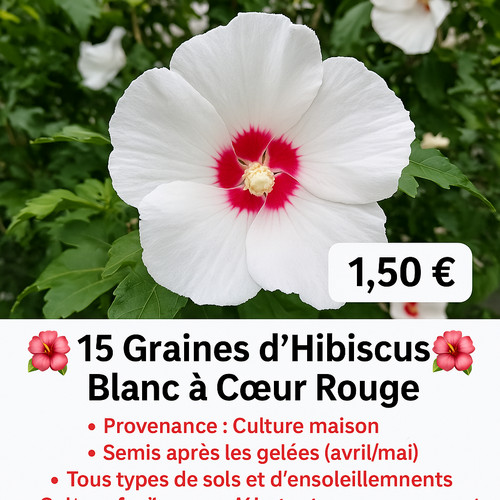 Graines - 🌺15,