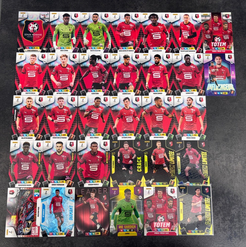 Panini adrenalyn ligue - ligue, 1