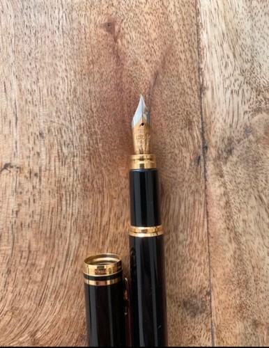 Stylo plume waterman - plume, man100