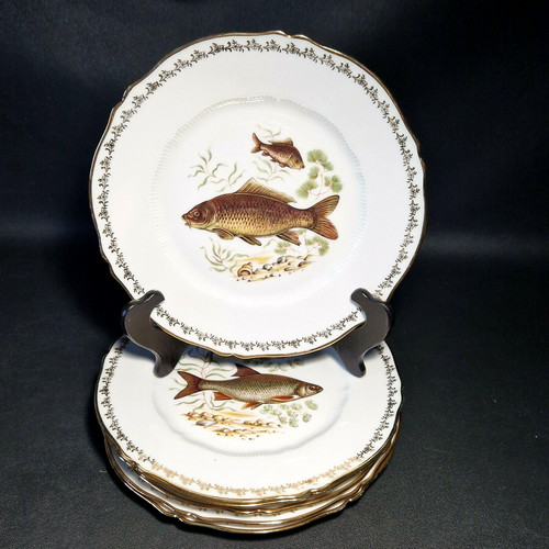 Assiettes plates à - 🔅,