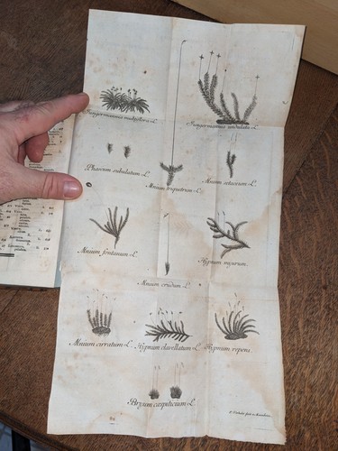 Livre ancien adami - ancien-j.,