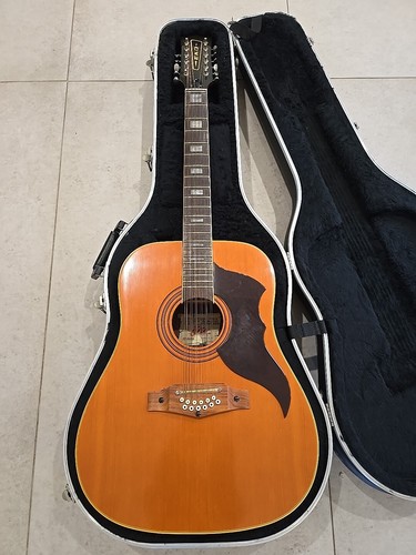 Early eko ranger xii acoustic - eko,